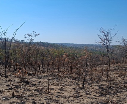 Chisamba Exploration Project